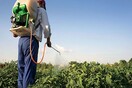 Τον κώδωνα του κινδύνου για την Κρήτη κρούουν οι επιστήμονες: Απειλή τα φυτοφάρμακα και η κλιματική αλλαγή