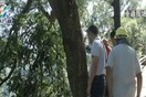 Κίνα: Νεογέννητο επιβιώνει μετά από πτώση εβδομήντα μέτρων - Το έριξε στο γκρεμό ο πατέρας του