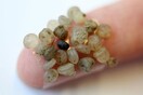 Μικροπλαστικά σε ανθρώπινα κόπρανα - Τι αποκάλυψε η πρώτη διεθνής έρευνα