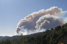 Ανεξέλεγκτη η πυρκαγιά στην Σιθωνία Χαλκιδικής- Στα 3 χιλιόμετρα έχουν απλωθεί οι φλόγες