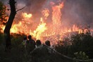 Ανεξέλεγκτη η πυρκαγιά στη Σιθωνία Χαλκιδικής- Οι άνεμοι φτάνουν μέχρι και 7 μποφόρ