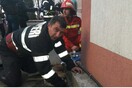Ήρωας για τη Ρουμανία ένας πυροσβέστης που έσωσε έναν σκύλο δίνοντάς του «το φιλί της ζωής»