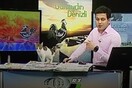 Μια γάτα εισβάλλει στο στούντιο