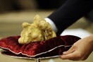 Ιταλία: Λευκή τρούφα πουλήθηκε για 85.000 ευρώ