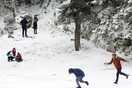 Γεμάτη κόσμο η χιονισμένη Πάρνηθα - Υπέροχο το λευκό τοπίο σήμερα