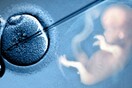 Παγκόσμια κατακραυγή και ανησυχία των επιστημόνων για τα πρώτα στον κόσμο γενετικά τροποποιημένα μωρά