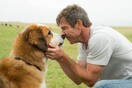 A dog’s purpose-Ο καλύτερος φίλος μου: Oι συντελεστές και οι εταιρίες παραγωγής και διανομής απαντούν για το επίμαχο video που προκάλεσε έντονες αντιδράσεις στο Χόλιγουντ