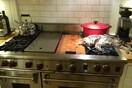19 γάτες στο ΤΕΛΕΙΩΣ λάθος μέρος