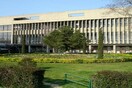 Επίθεση σε φοιτήτρια μέσα στο ΑΠΘ - Τοξικομανής ο δράστης