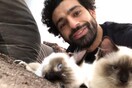 O Μοχάμεντ Σαλάχ ξεκίνησε εκστρατεία για γάτες και σκύλους - Φοβάται πως εξάγονται για να φαγωθούν