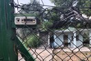 Πέθαναν αγκαλιασμένοι στο κρεβάτι τους: Η τραγική ιστορία ενός ηλικιωμένου ζευγαριού από τον Βόλο