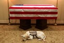Συγκινεί o Σάλι, ο σκύλος του Μπους - Δίπλα στο φέρετρο συνεχώς