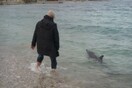 Δύο πολίτες στη Χίο βούτηξαν στη θάλασσα και έσωσαν μικρό δελφίνι