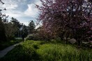 Αίθριος καιρός με αραιές νεφώσεις