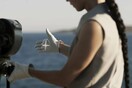 4 ταινίες μικρού μήκους και «The Slow Business of Going / Η διαρκής αναχώρηση της Πέτρα Γκόινγκ»