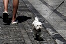 Νέοι πεζόδρομοι από το Σάββατο στο Εμπορικό Τρίγωνο της Αθήνας