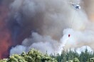 Νέα Ζηλανδία: «Η φωτιά θα συνεχίσει να καίει τα πάντα για εβδομάδες»