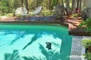 Αυστραλία: Η σοκαριστική φωτογραφία ενός κοάλα που πνίγηκε σε πισίνα για να δροσιστεί από τον καύσωνα