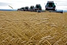 Eμπάργκο της Τουρκίας στα ρωσικά σιτηρά