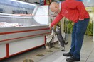 Κρεοπώλης στην Τουρκία έφτιαξε τάφο για την καλύτερη πελάτισσά του- Τη γάτα Γεσίμ