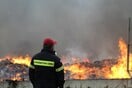 Γιατί το ΣτΕ υποχρέωσε πυραγό του Πυροσβεστικού Σώματος να αποζημιώσει το Δημόσιο με 53.678 ευρώ