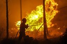 Mαίνεται η τεράστια δασική πυρκαγιά στην Πορτογαλία - Στους 63 οι νεκροί