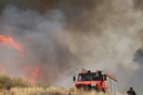 Κεφαλονιά: Περιορίστηκε η φωτιά στην Αγία Ειρήνη