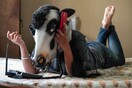 Γιατί γυναίκες στην Ινδία φωτογραφίζονται φορώντας μάσκα αγελάδας;