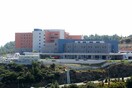 Η περιπέτεια ενός άνδρα που τον τσίμπησε οχιά στην Καβάλα