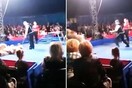 Πανικός σε τσίρκο στην Ουκρανία- Αρκούδα όρμηξε στους θεατές