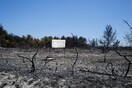 Προφυλακίστηκε ο 24χρονος για τους 16 εμπρησμούς στην Αττική - Έβαζε φωτιές για να βοηθάει στην κατάσβεσή τους