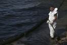 Η WWF υποβάλλει μήνυση κατά παντός υπευθύνου για τη ρύπανση στον Σαρωνικό
