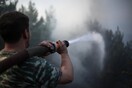 Αμαλιάδα: Οριοθετήθηκε η πυρκαγιά στην περιοχή Ανάληψη- Περιστέρι της Ηλείας