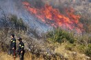 Μεγάλη πυρκαγιά στην Κυπαρισσία