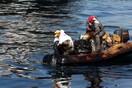 Ιδιοκτήτης του πλοίου που ρύπανε το Σαρωνικό: Καταστράφηκα, δεν είμαι χοντρόπετσος από τα Β. Προάστια