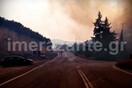 Μαίνεται η πυρκαγιά στις Ορθονιές Ζακύνθου - Έχουν καεί πάνω από 1.000 στρέμματα