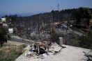 Αρχίζει η δορυφορική χαρτογράφηση των καμένων εκτάσεων σε Αττική και Ζάκυνθο