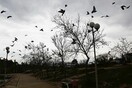 Καμπανάκι από το WWF: Η ανθρωπότητα εξάντλησε τους φυσικούς πόρους της για φέτος και ζει από "δανεικά"