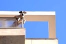 Αθήνα: Η πόλη των αδέσποτων σκύλων (και φίλων)