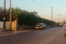 Χανιά: Νεκροί δύο φοιτητές που τους χτύπησε αυτοκίνητο όταν έβγαλαν βόλτα τον σκύλο τους