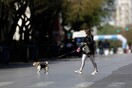 Ανοιξιάτικος σήμερα ο καιρός σε όλη τη χώρα