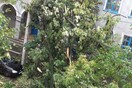 Φονική καταιγίδα σάρωσε τη Ρουμανία - 8 νεκροί και 67 τραυματίες