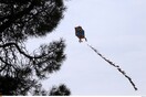 Καιρός για τριήμερο της Καθαράς Δευτέρας- Πότε χαλάει ξανά