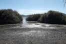 Προβληματίζει η υποχώρηση της στάθμης του νερού στη λίμνη της Καστοριάς-Τι λένε οι επιστήμονες