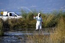 Νωρίτερα ξεκινούν φέτος οι ψεκασμοί για τα κουνούπια σε Αττική και Περιφέρεια