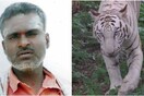 Iνδία: Τίγρεις κατασπάραξαν υπάλληλο ζωολογικού κήπου