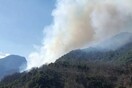 Τρίκαλα: Μια ηλικιωμένη ευθύνεται για την πυρκαγιά σε δάσος στις Λογγιές