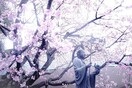 Hanami: το πρώτο σινιάλο της άνοιξης στην Ιαπωνία