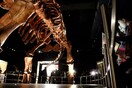 Το Μουσείο Φυσικής Ιστορίας στη Νέα Υόρκη αρνήθηκε δείπνο προς τιμήν του Μπολσονάρου