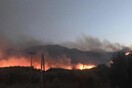 Σε εξέλιξη πυρκαγιά στη Λέσβο - Ισχυροί άνεμοι πνέουν στην περιοχή